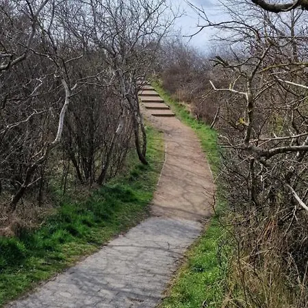 Apartment Bepinay15 *