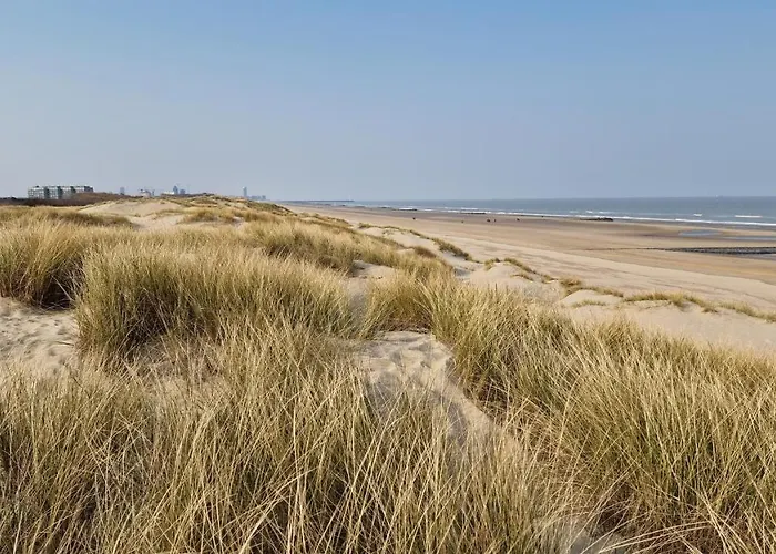 Bepinay15 Lägenhet Bredene